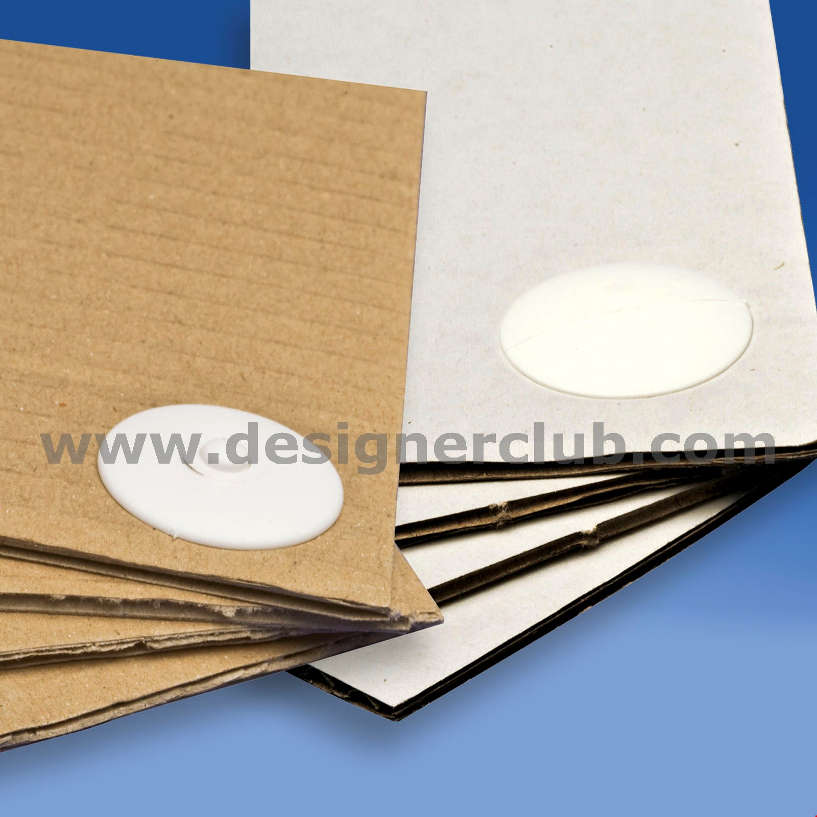 LAB 28/21 - FEMELLE LONGUE BLANC