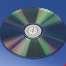 CD SPIDER ADESIVO BIANCO